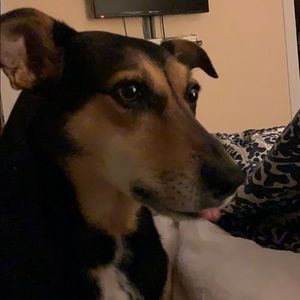 Meet your Posher, Jordan